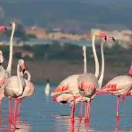 Luxury Апартаменты